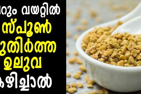 രാവിലെ വെറും വയറ്റില്‍ ഒരു സ്‌പൂൺ കുതിര്‍ത്ത ഉലുവ കഴിയ്ക്കുന്നതു കൊണ്ടുള്ള അത്ഭുത ഗുണങ്ങൾ.!! | Fenugreek Benefits