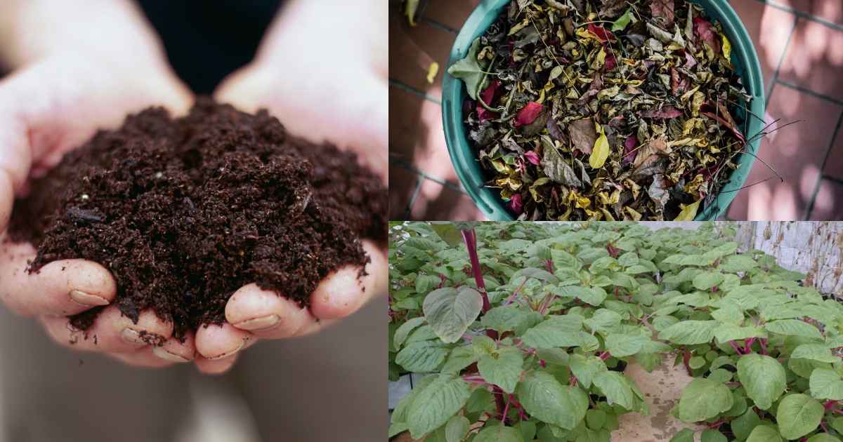 How to make Compost at Home