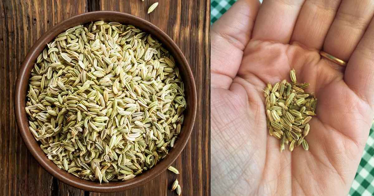 Fennel Seeds