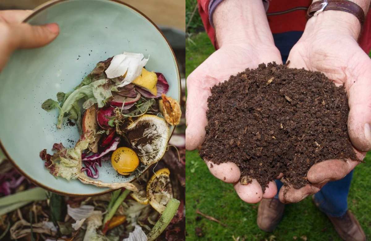 How to make compost from Kitchen Waste