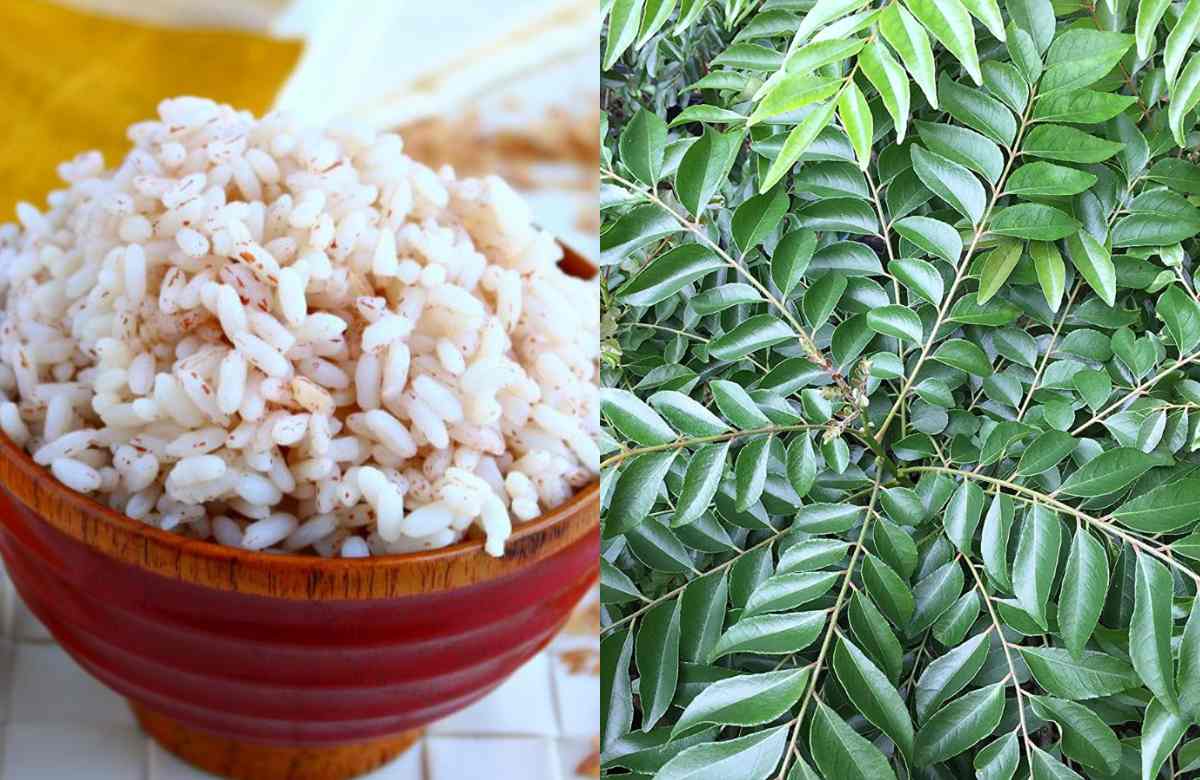 Curry leaves