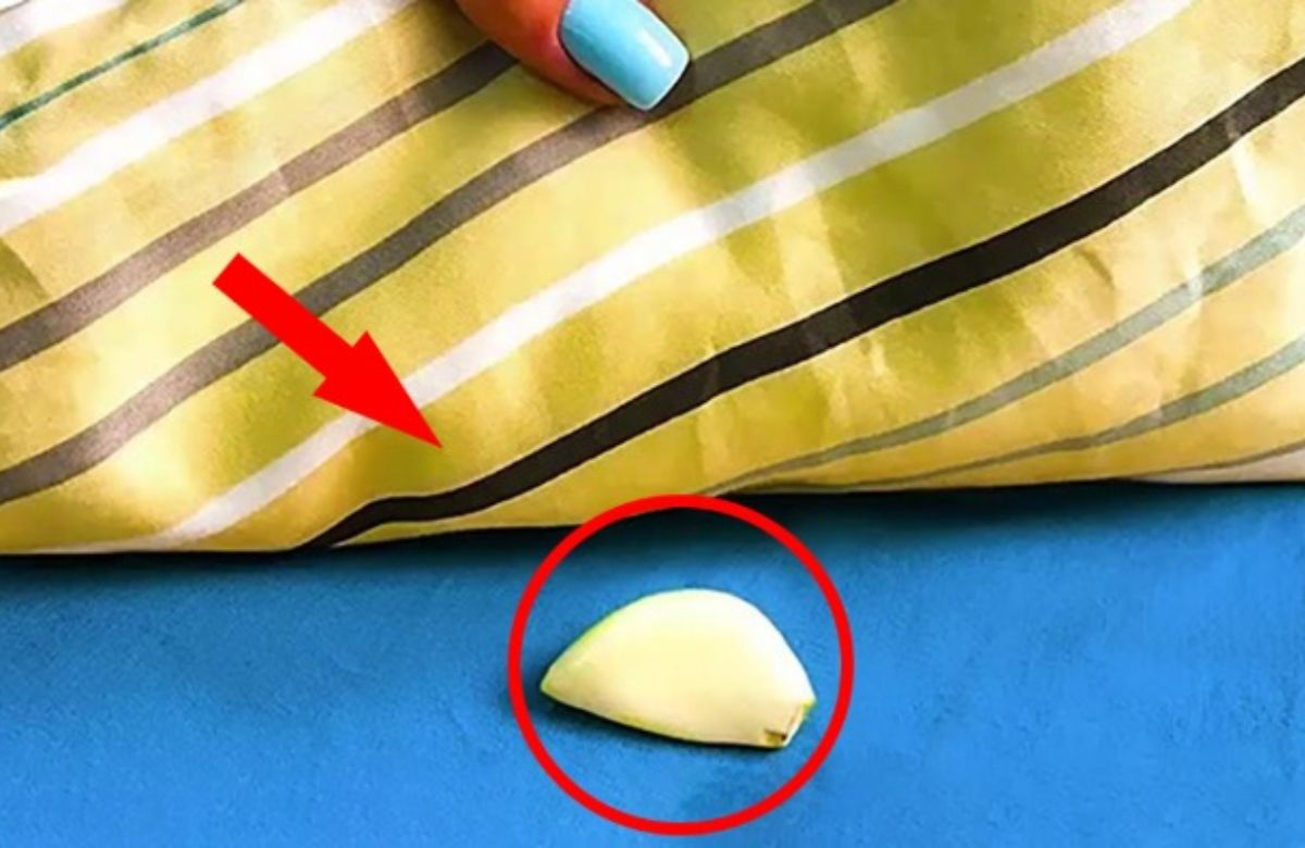 Garlic Under Pillow Benefits