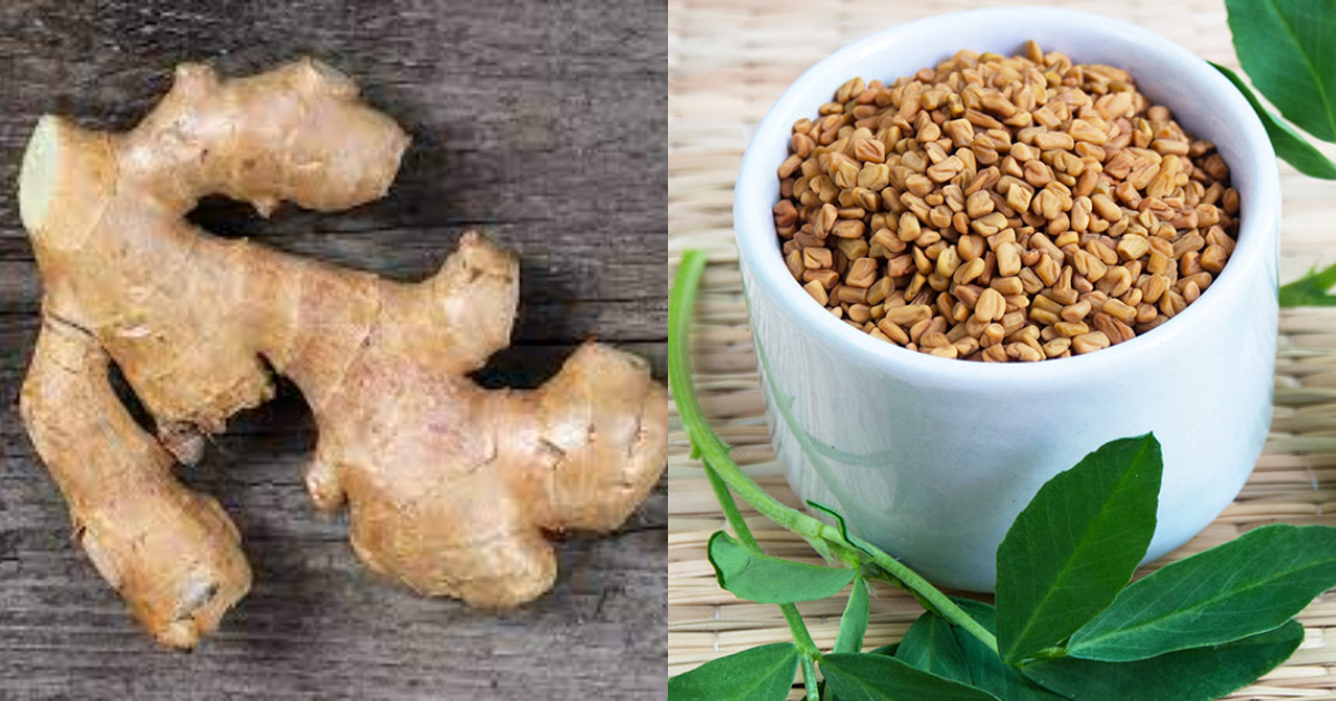 Fenugreek Ginger Benefits