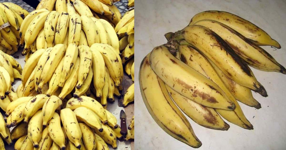 Incredible Benefits Of Bananas