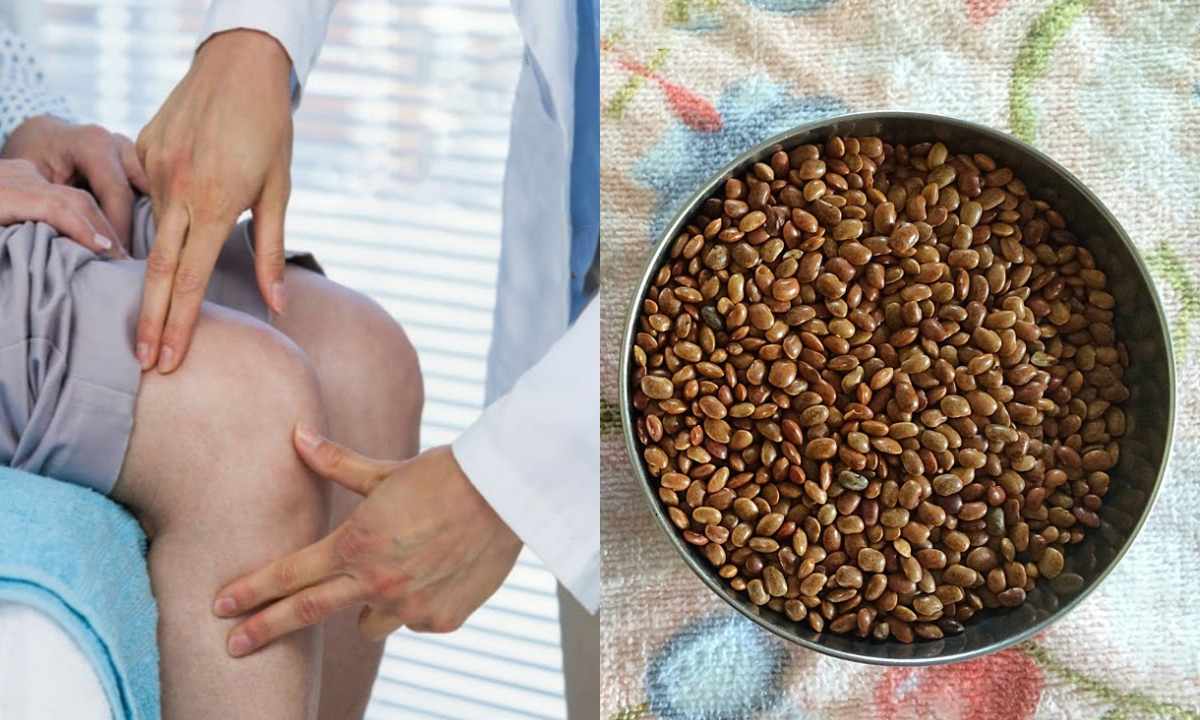 Muthira For Knee Pain