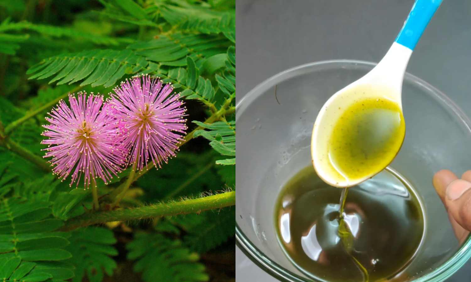 Natural Remedy For Toothache