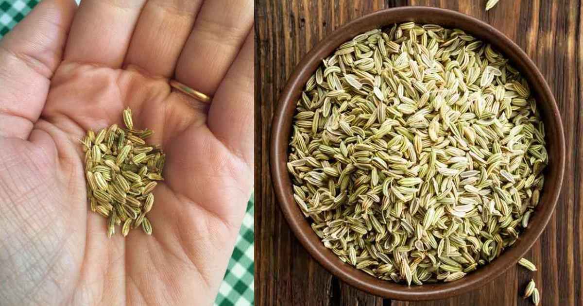 Incredible Health Benefits Of Fennel Seeds