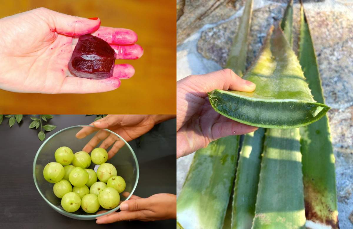 Natural Hair Dye Using Beetroot Amla And Aloe Vera
