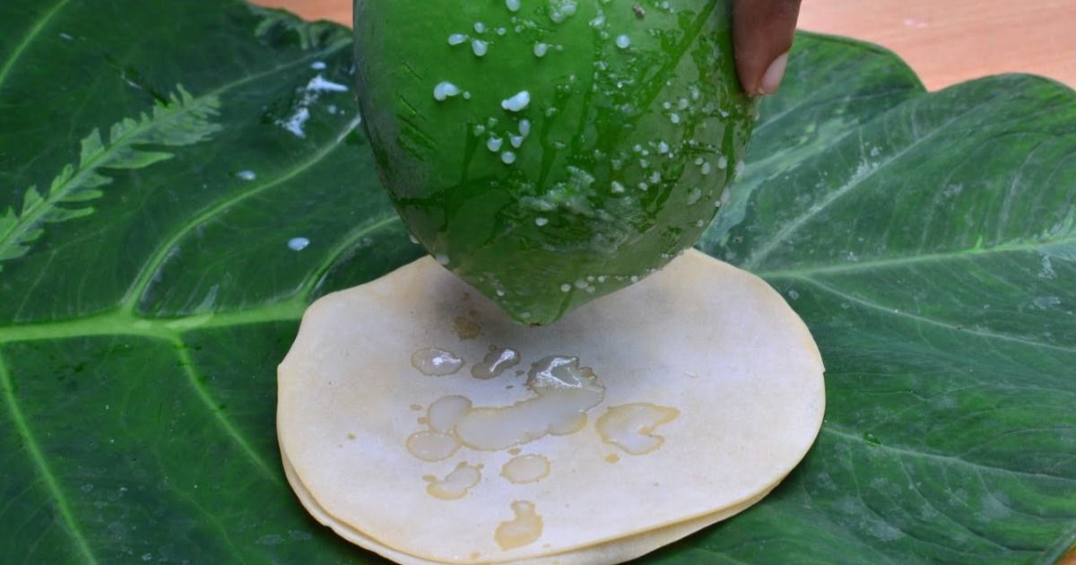 Papaya Papadam Benefits