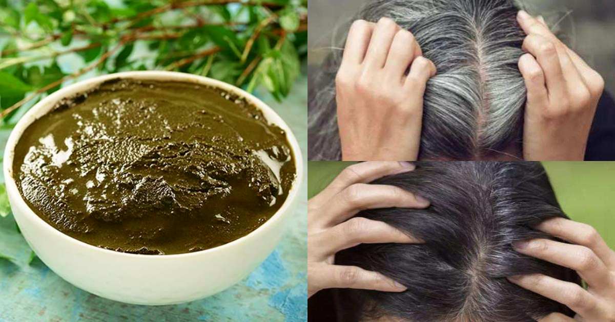 Homemade Natural Hair Dye Panikoorka