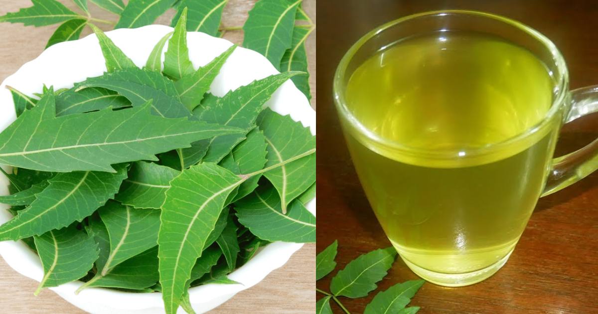 Neem Water Benefits