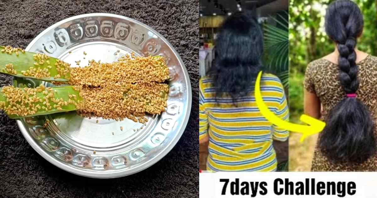Tips To Natural Hair Oil Using Kattarvazha and Uluva