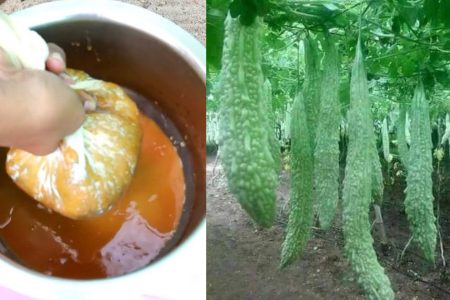 പൂവിടുമ്പോൾ ഇതൊന്ന് ഒഴിച്ച് കൊടുത്താൽ മാത്രം മതി പച്ചക്കറികൾ കുലകുത്തി കായ്ക്കും ഇരട്ടി വിളവ് ഉറപ്പ്.!! | Banana Fertilizer For Plant Flowering