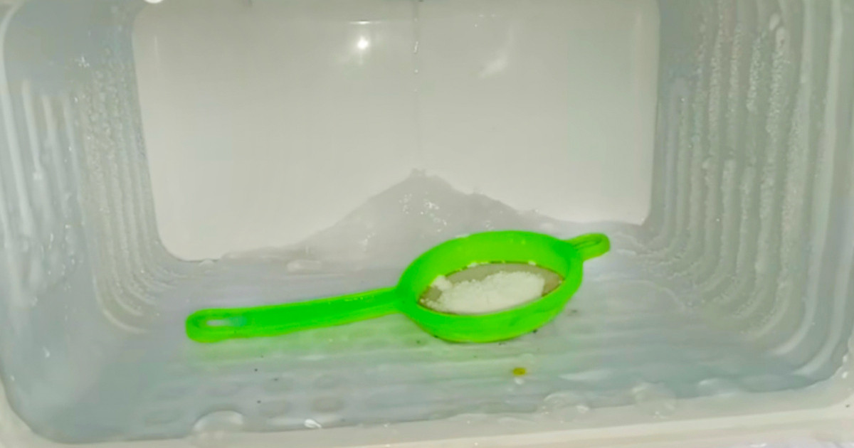 Easy Fridge Cleaning Tips Using Stainer