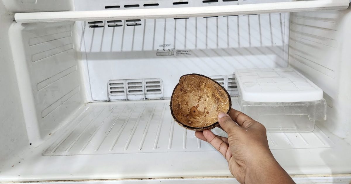 Fridge Freezer Ice Remove Tips