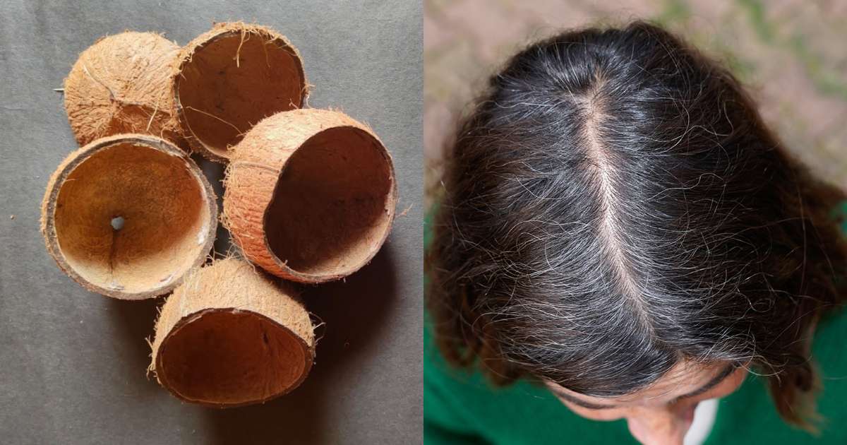 Hair Dye Using Chiratta
