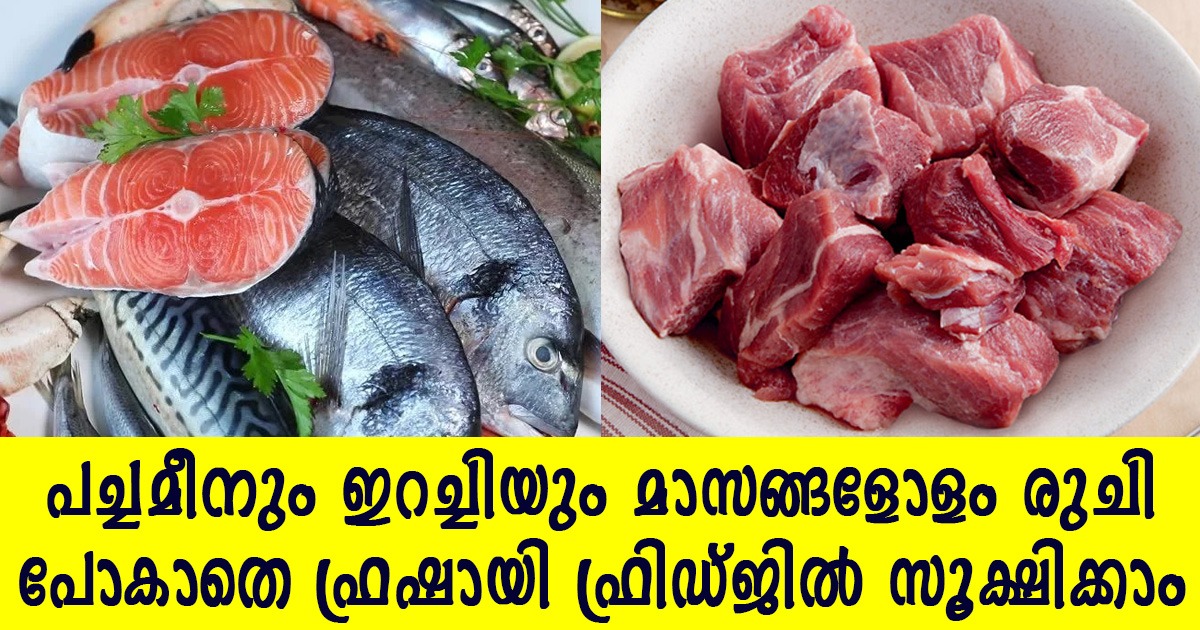 How to Store Fish and Meat in Fridge