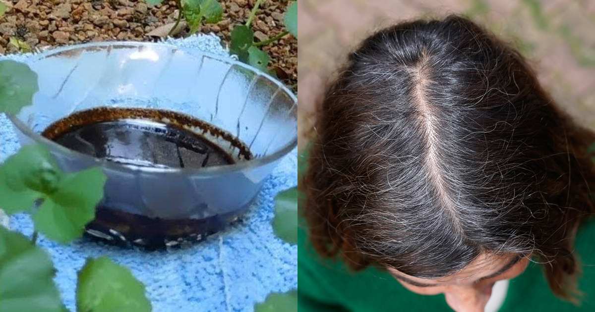 Natural Hair Dye Using Coffee Powder