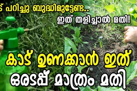 ഇതൊരു അടപ്പ് മാത്രം മതി! ഏത് കാട് പിടിച്ചു കിടക്കുന്ന പുല്ലും ഠപ്പേന്ന് ഉണങ്ങും! ഇനി ആരും പുല്ലു പറിച്ചു ബുദ്ധിമുട്ടേണ്ട!! | Remove Weeds Easy