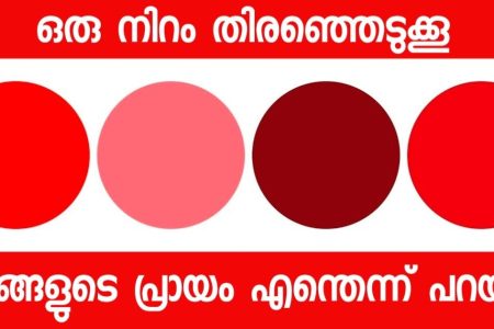 ഇതിൽ ഒരു നിറം നിങ്ങൾ മനസ്സിൽ വിചാരിക്കൂ! നിങ്ങളുടെ മനസ്സിന്റെ പ്രായം എത്രയാണെന്ന് ഞാൻ പറയാം ഞെട്ടും നിങ്ങൾ!! | Psychological Color Test