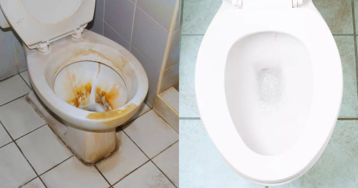 Easy Clean Toilet Tips