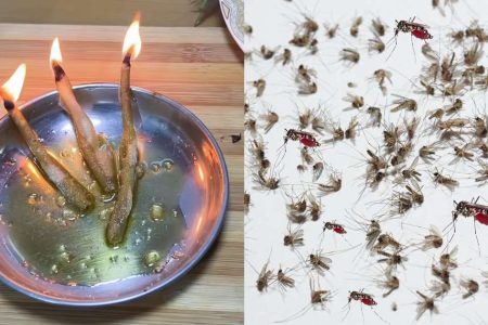 ഇതൊന്ന് കത്തിച്ചു കൊടുത്താൽ മതി കൊതുകിനെ വീട്ടിൽ നിന്ന് കൂട്ടത്തോടെ ഓടിക്കാം! കൊതുക് വീടിന്റെ പരിസരത്ത് പോലും ഇനി വരില്ല!! | Get Rid of Mosquitoes Tips