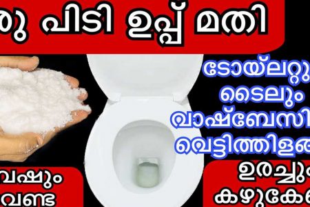 ഒരു പിടി ഉപ്പ് മാത്രം മതി! എത്ര അഴുക്കു പിടിച്ച ക്ലോസറ്റും വാഷ്‌ ബേസിനും ടൈലും വെറും 5 മിനിറ്റിൽ വെട്ടിതിളങ്ങും!! | Easy Bathroom Cleaning Using Salt