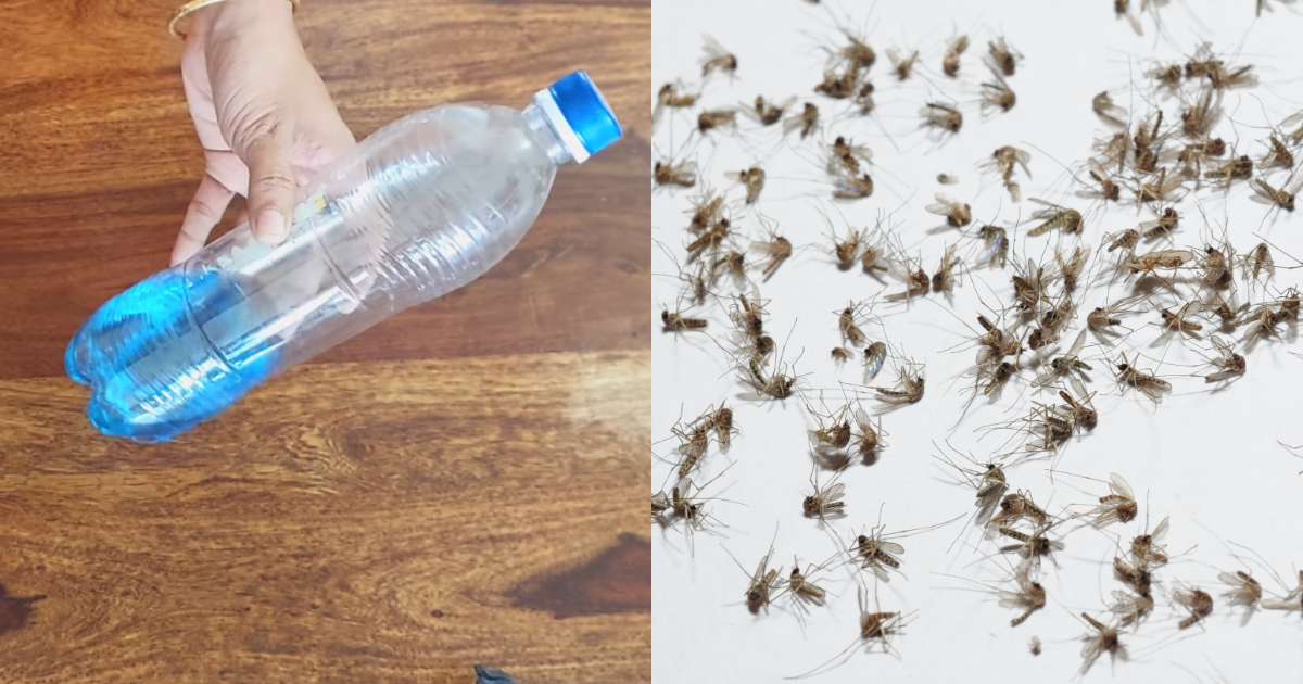 Easy Get Rid Of Mosquitoes Tips