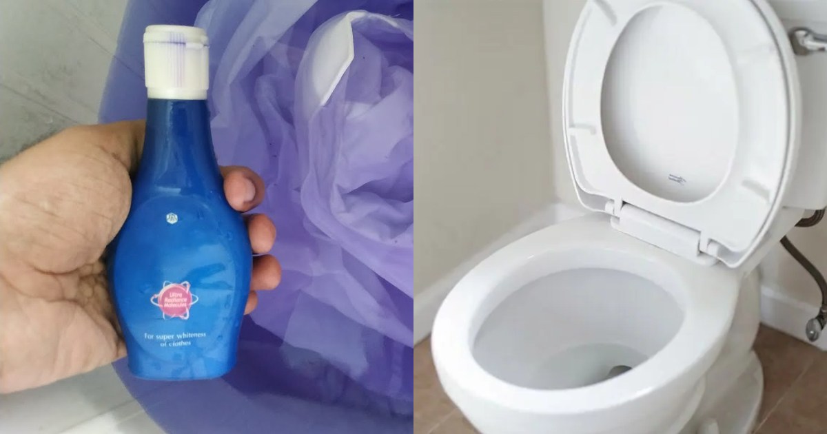 Easy Toilet Cleaning Using Ujaala