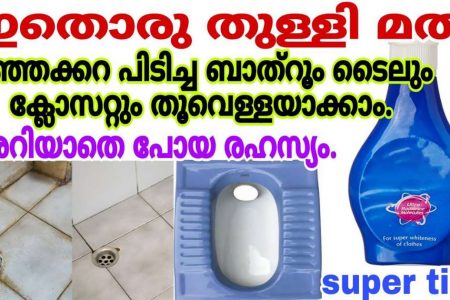 ഇതൊരു തുള്ളി മാത്രം മതി! എത്ര മഞ്ഞക്കറ പിടിച്ച ക്ലോസറ്റും ബാത്റൂം ടൈലും ഒറ്റ മിനിറ്റിൽ തൂവെള്ള പോലെ തിളങ്ങും!! | Easy Bathroom Tile Cleaning Tips