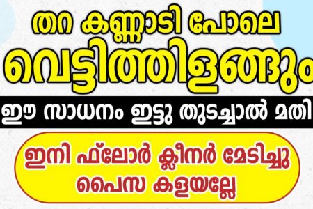 ഈ ഒരു സാധനം ഇട്ടു തുടച്ചാൽ മതി തറ കണ്ണാടി പോലെ വെട്ടിത്തിളങ്ങും! ഇനി ആരും ഫ്ലോർ ക്ലീനർ വാങ്ങി കാശ് കളയേണ്ട!! | Easy Floor Cleaning