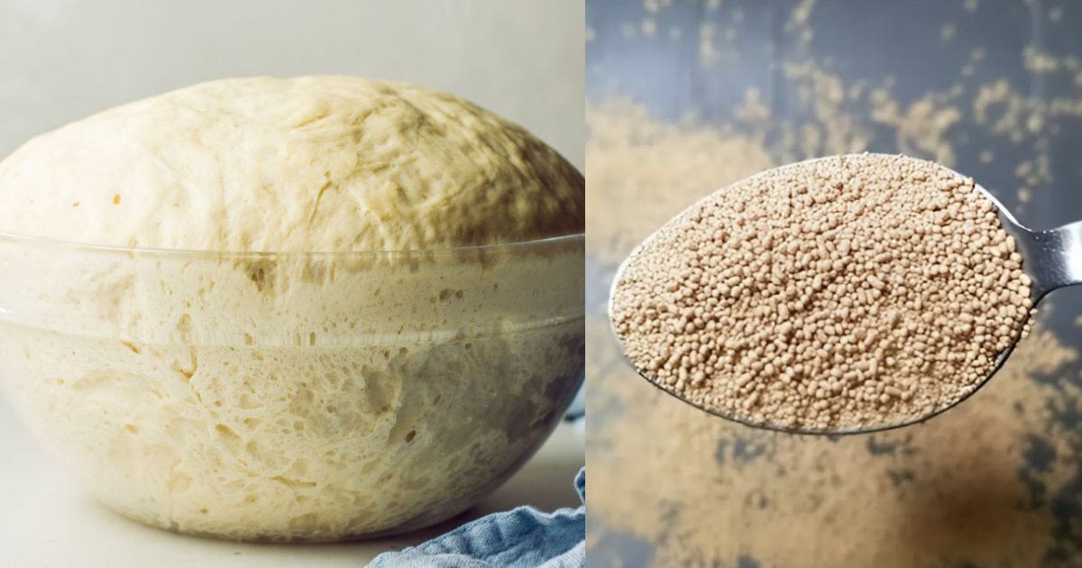 Easy Homemade Yeast Recipe