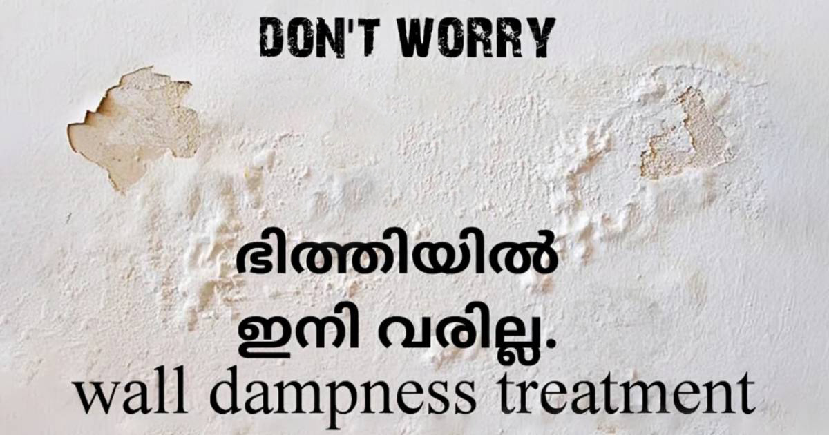 Easy Wall Dampness Treatment Tips