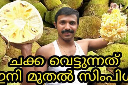 ഈ ഒരു സൂത്രം ചെയ്താൽ മതി കയ്യിൽ ഒരുതരി പശയോ കറയോ ആകാതെ സിമ്പിൾ ആയി ചക്ക വൃത്തിയാക്കാം!! | Easy Jackfruit Cutting Tips