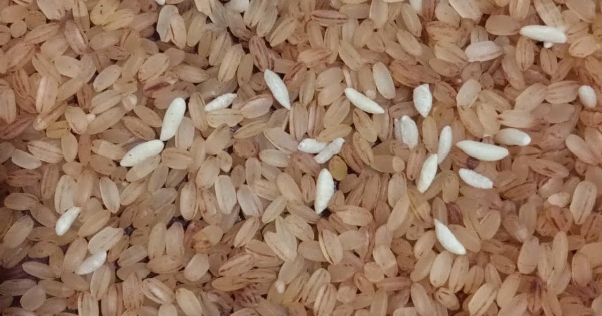 Ration Fortified Rice