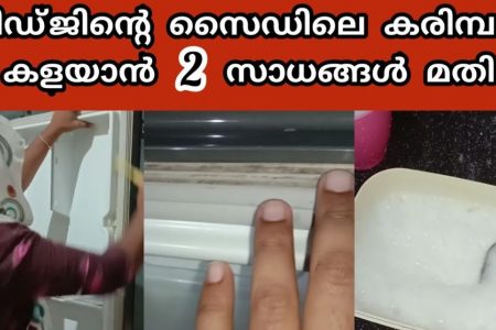 ഈ 2 സാധനങ്ങൾ മാത്രം മതി! ഫ്രിഡ്ജ് ഡോറിന്റെ സൈഡിലെ എത്ര കറുത്ത കരിമ്പനും ഇനി 5 മിനിറ്റിൽ ആർക്കും ക്ലീൻ ആക്കാം!! | Easy Clean Fridge Door Karimban