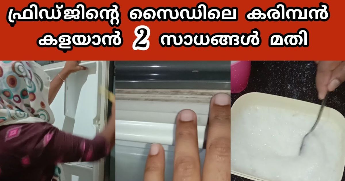 Easy Clean Fridge Door Karimban