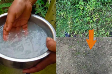 കഞ്ഞിവെള്ളം കൊണ്ട് ഈ സൂത്രം ചെയ്താൽ മതി മുറ്റത്ത് കാടുപിടിച്ചു കിടക്കുന്ന പുല്ല് ഠപ്പേന്ന് ഉണക്കാൻ! കണ്ടു നോക്കൂ ഞെട്ടും നിങ്ങൾ!! | Easy To Remove Weeds Using Kanjivellam