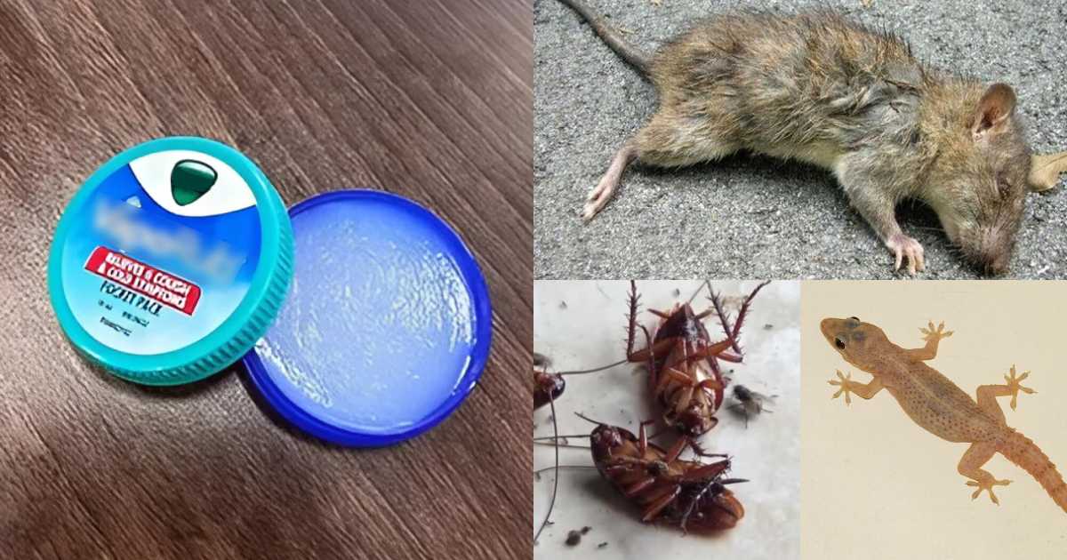 Easy Get Rid Of Pests Using Viks