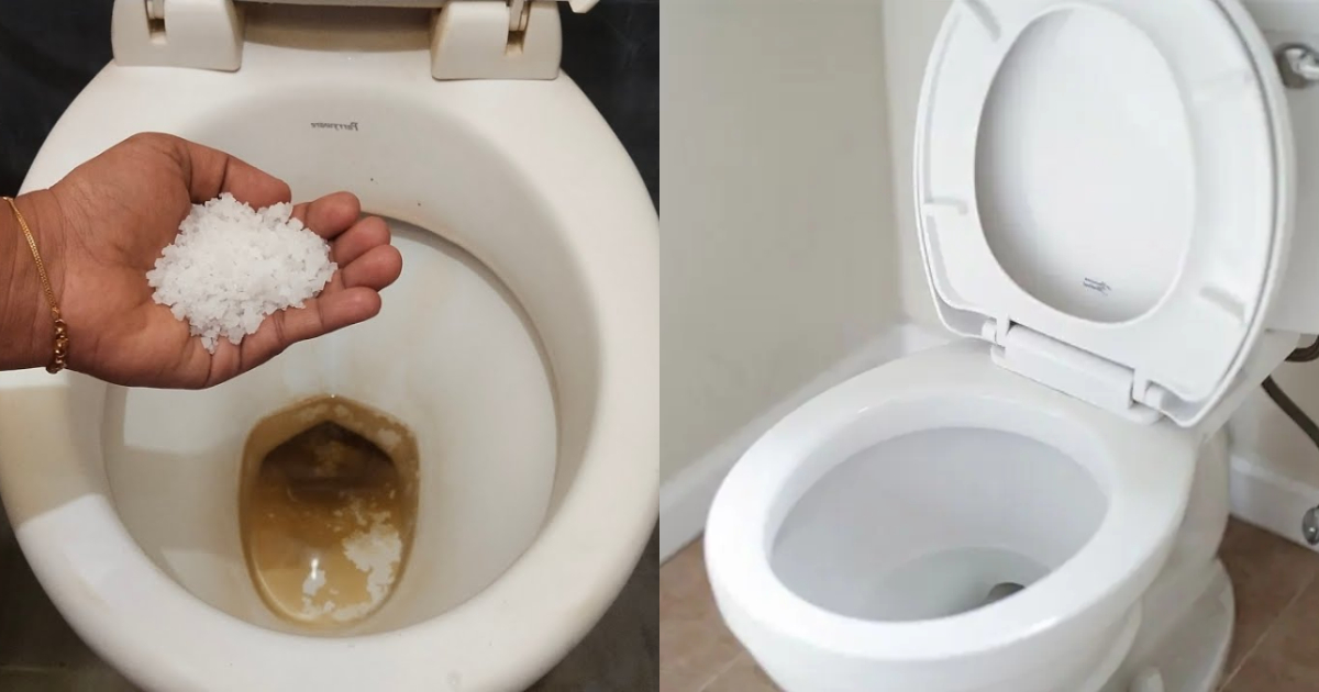 Toilet Cleaning Tips Using Salt