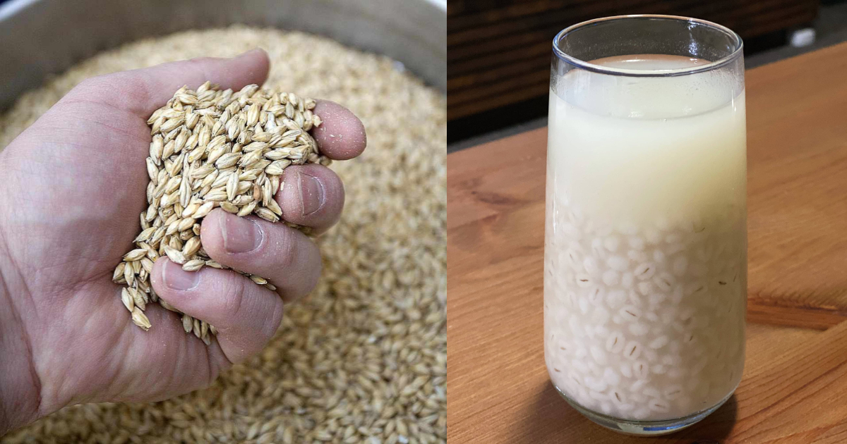 Barley For Weight Loss