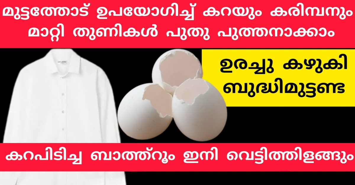 Dress Cleaning Tips Using Egg Shell