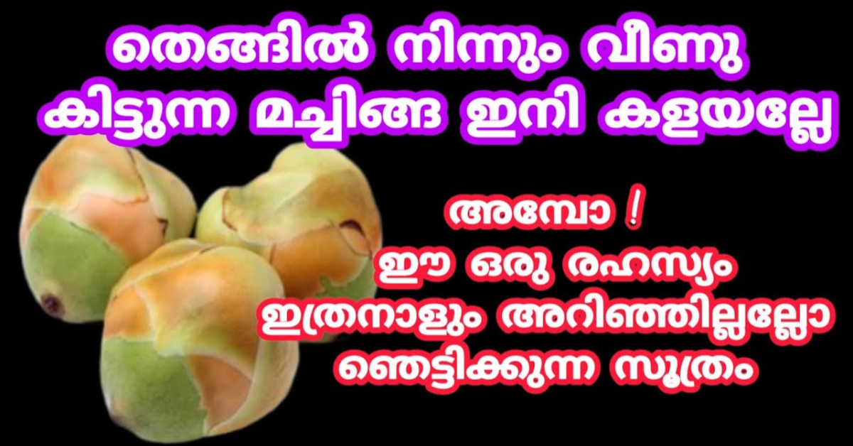 Machinga Kitchen Tips