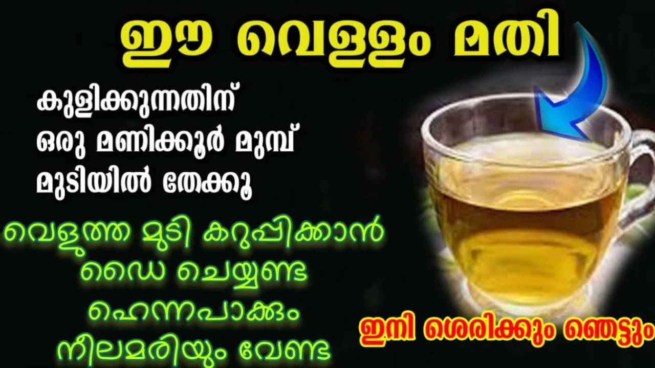 Natural Hair Dye Using Henna Leaves