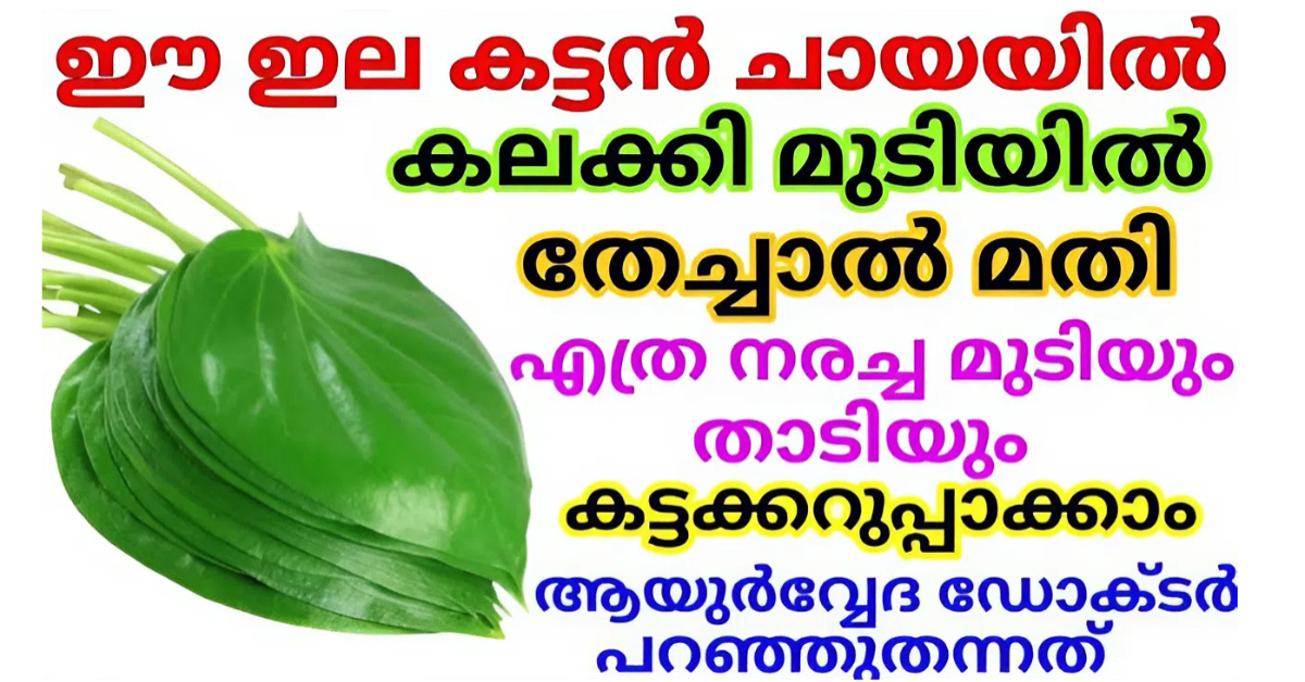 Natural Hair Dye Betel Leaf