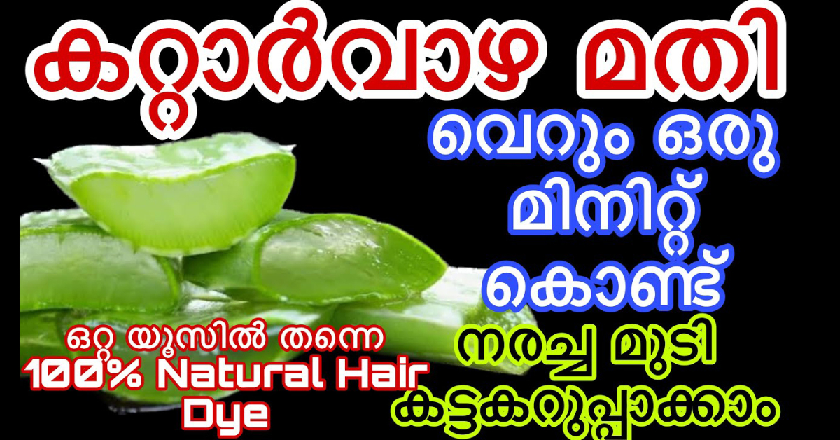 Natural Hair Dye Aloe Vera and Fenugreek