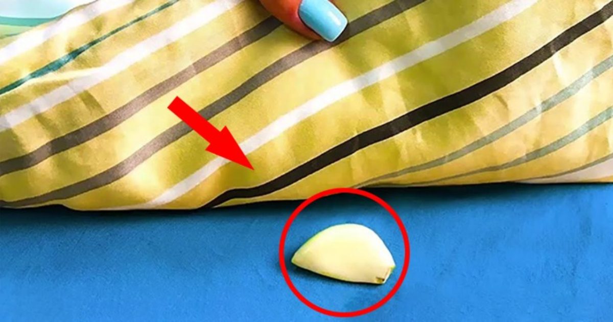 Put Garlic Under Pillow Benefits