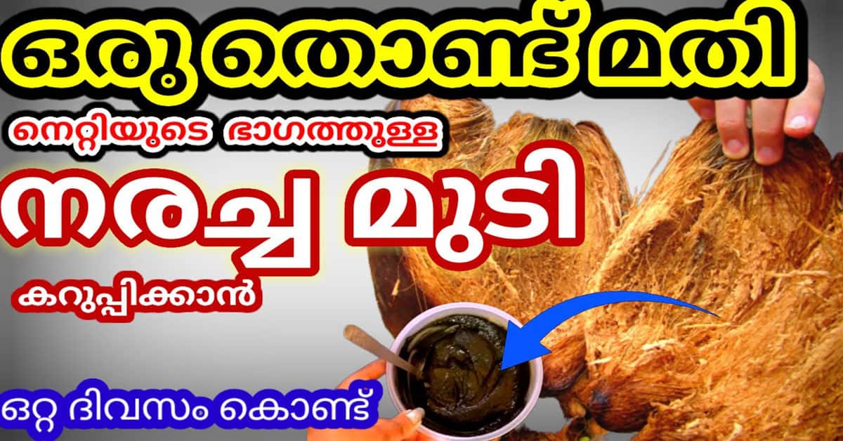 Natural Hair Dye Using Coconut Husk