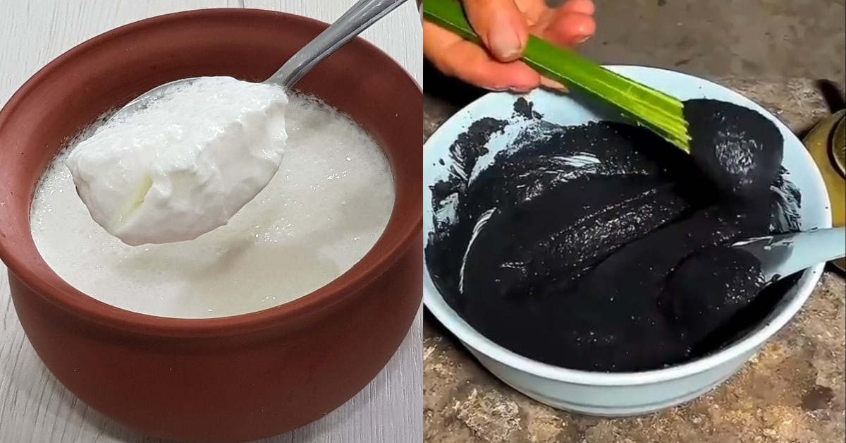 Natural Hair Dye Using Curd