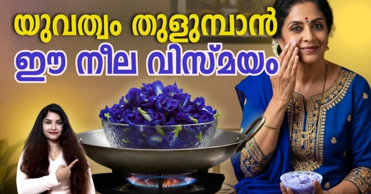 Butterfly Pea Flower Face Gel Skincare Tips